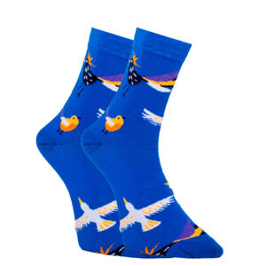 Veselé ponožky Dots Socks ptáčcci (DTS-SX-416-N) 35-38