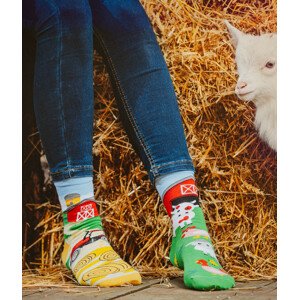 Ponožky Spox Sox - Farma vícebarevný 36-39
