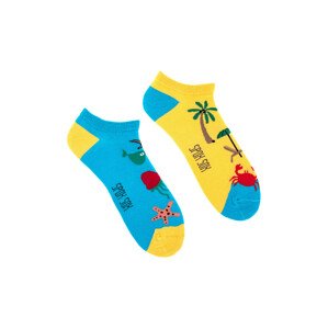 Ponožky Spox Sox Pláž a moře vícebarevný 36-39