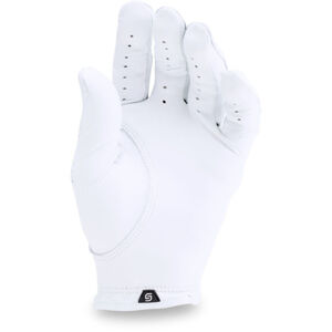 Pánské rukavice Spieth Tour Glove RM FW20 - Under Armour