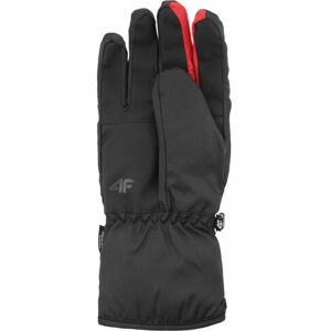 Pánské rukavice SKI GLOVES REM006 FW20 - 4F M