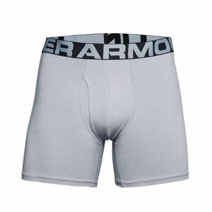 Pánské trenky Charged Cotton 6in 3 Pack SS21 - Under Armour S