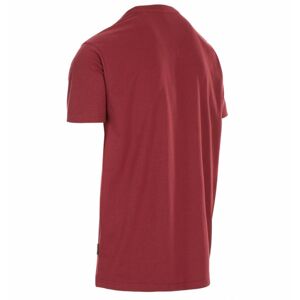 Pánské trička s krátkým rukávem LAKEHOUSE - MALE T-SHIRT SS21 - Trespass L