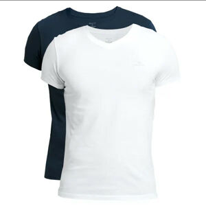 2PACK pánské tričko Gant modré/bílé (901002118-109) XL