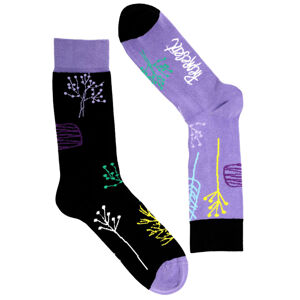 Ponožky Represent herbs (R1A-SOC-0658) L