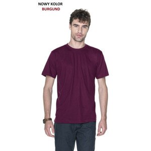 Pánské tričko T-shirt Heavy Slim 21174 - PROMOSTARS vínový M