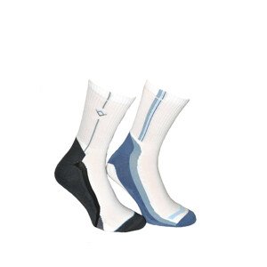 Pánské ponožky Terjax Sport Line Polofroté art.008 7049 ciemny-mix wzór 27-28
