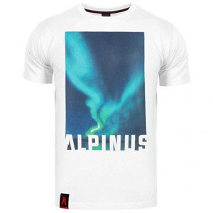 Pánské tričko Alpinus Cordillera white M ALP20TC0009 M