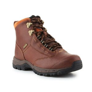 Dámské boty Berwick GTX W 10016298 Brown - Ariat EU 36,5