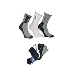 Pánské ponožky E&E Active Sport 0291 A'5 39-46 směs barev 39-42