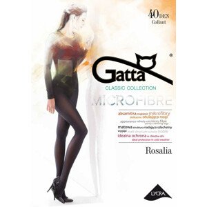 Dámské punčochové kalhoty 40 den Rosalia - Gatta moka 2-S