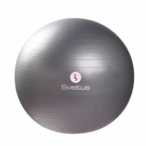 Cvičební pomůcky Gymball 65 cm - grey polybag OSFA  - Sveltus