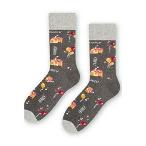 Pánské ponožky - rodinná kolekce 084 41-43