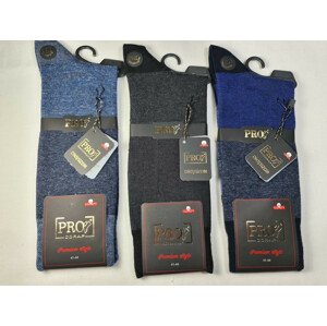 Pánské ponožky PRO 16635 směs barev 41-44