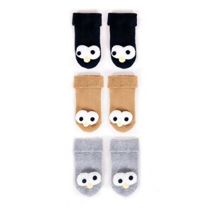 Yoclub Bavlněné chlapecké froté ponožky Vzory Barvy 3-pack SKA-0049C-AA0B Vícebarevné 14-16