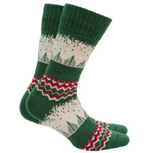 Dámské ponožky AKRYL/VLNA Zelená UNI