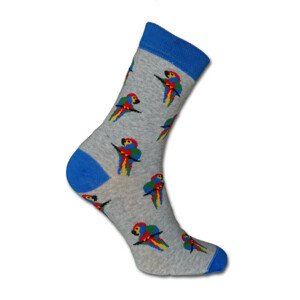 Pánské vzorované ponožky šedá 38-40