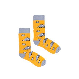 Kabak Ponožky se vzorem Racoons 36-41