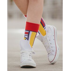 Unisex ponožky Spox Sox Báječní a bohatí vícebarevné 36-39