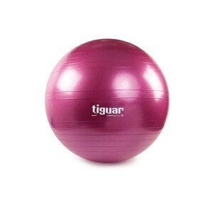 Gymnastický míč safety plus 65 cm TI-SP0065S - Tiguar NEUPLATŇUJE SE