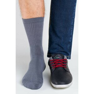 Pánské ponožky Regina Socks Polofroté Bambus šedá 43-46