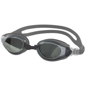 Plavecké brýle Aqua-Speed Champion stříbrné 26/038