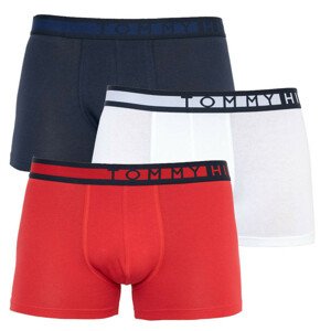 3PACK pánské boxerky Tommy Hilfiger vícebarevné (UM0UM01234 0XY) M