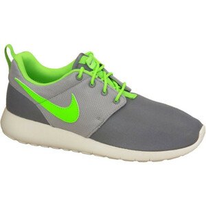 Dámské boty Roshe One Gs W 599728-025 - Nike 38