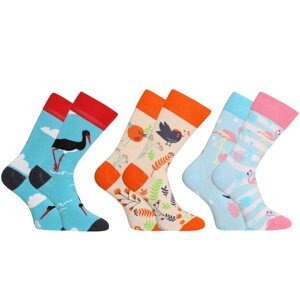 3PACK Veselé ponožky Dedoles (RS206154969) L