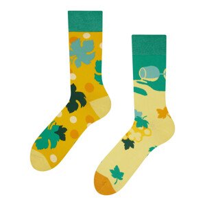 Veselé ponožky Dedoles Réva (GMRS254) L
