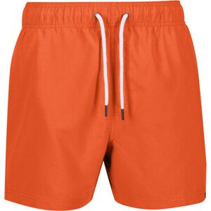 Pánské šortky RMM016 Mawson III 6QP oranžové - Regatta  oranžová L