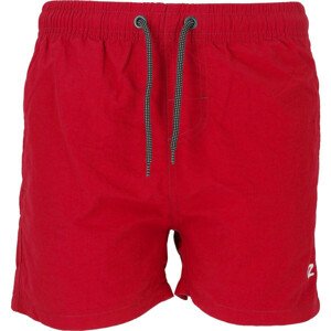 Chlapecké plavecké kraťasy Eyemouth Jr Basic Shorts SS23 - Cruz 8