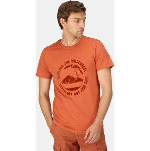Pánské tričko Regatta RMT263-K13 oranžovo hnědá S