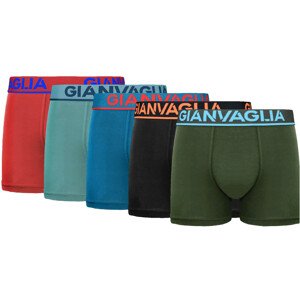 5PACK pánské boxerky Gianvaglia vícebarevné (GVG-5009) XXL
