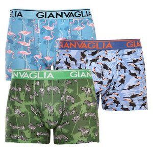 3PACK pánské boxerky Gianvaglia vícebarevné (GVG-5501) L