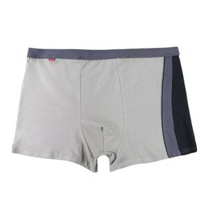 Pánské boxerky Plus Size 11 světle šedé s pruhem  4XL