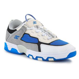 DC Shoes Shanahan Metric Skate Shoes M ADYS100755-XSWB EU 40,5