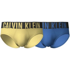 Pánské spodní prádlo HIP BRIEF 2PK 000NB2598AC28 - Calvin Klein S