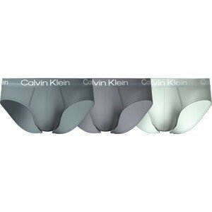 Pánské spodní prádlo HIP BRIEF 3PK 000NB2969ACBB - Calvin Klein S