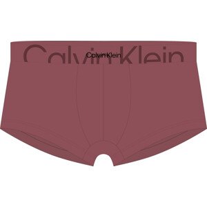 Spodní prádlo Pánské spodní prádlo TRUNK 000NB3299AVLL - Calvin Klein S