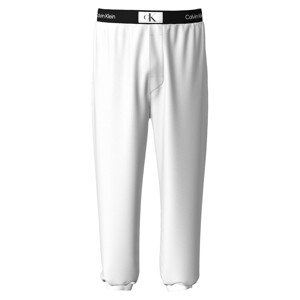 Spodní prádlo Pánské kalhoty JOGGER 000NM2393E100 - Calvin Klein S