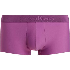 Spodní prádlo Pánské spodní prádlo Spodní díl LOW RISE TRUNK 000NB3634AVIM - Calvin Klein L