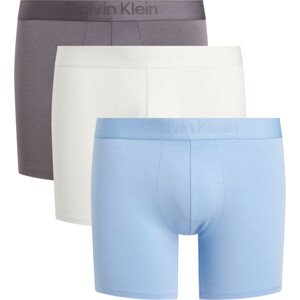 Pánské spodní prádlo BOXER BRIEF 3PK 000NB3652AFZB - Calvin Klein XS