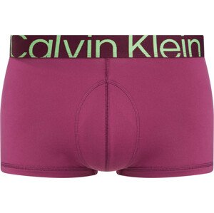 Spodní prádlo Pánské spodní prádlo Spodní díl LOW RISE TRUNK 000NB3656AVAC - Calvin Klein M