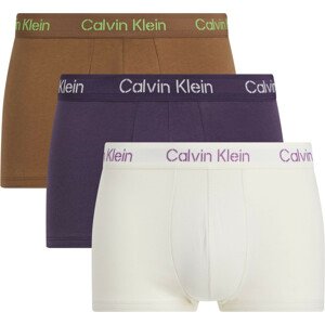 Pánské spodní prádlo LOW RISE TRUNK 3PK 000NB3705AFZ4 - Calvin Klein XL