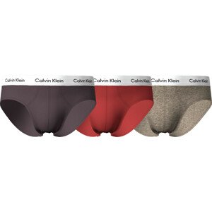 Pánské spodní prádlo HIP BRIEF 3PK 0000U2661GCAK - Calvin Klein S