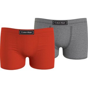 Chlapecké spodní prádlo 2PK TRUNK-HERITAGE B70B7004380U7 - Calvin Klein 14-16