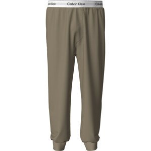 Spodní prádlo Pánské kalhoty JOGGER 000NM2302E8HU - Calvin Klein S