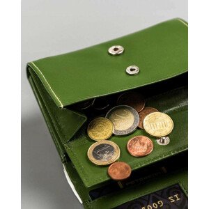Dámské peněženky PTN RD 02 GCL Y 3980 zelená univerzita