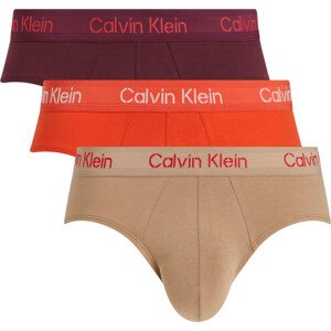 Pánské spodní prádlo HIP BRIEF 3PK 000NB3704AFZP - Calvin Klein S